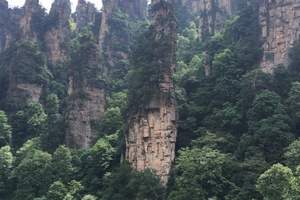 石家庄到张家界飞机旅游团 张家界天子山 天门洞凤凰古城双飞六