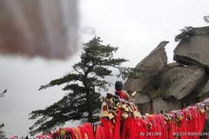 石家庄到华山旅游团 石家庄到兵马俑 华山 西安市内双卧五日